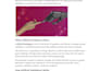 write SEO content for higher visibility